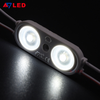 Module LED haute puissance 2W 6000-7000K IP67 12V 2 LED SMD2835 pour extérieur / Certifié CE, module d'éclairage de plafond pour caisson lumineux