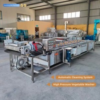 Commerciële automatische belletjeswasmachine voor groenten, fruit, bladgroenten, industriële voedselverwerkingsapparatuur
