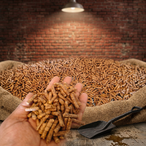 Granulés de biomasse industrielle, remplacement du charbon pour les industries européennes - Product Image 1