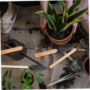 Succulent 10 Pcs Plante Outils Enfants Outils succulent semis élévateur sol <span class=keywords><strong>pelle</strong></span> baril <span class=keywords><strong>pelle</strong></span> plantes succulentes outils - Product Image 6