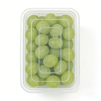 Boîtes à emporter en plastique transparent recyclables de qualité alimentaire sans BPA, avec couvercle à fermeture sécurisée, pour gâteaux, bonbons, noix, mousse