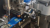 Automatische Dreieck-Teebeutel-Verpackungsmaschine, Ultraschall-Versiegelungsgerät für Innen- und Außen-Teebeutel