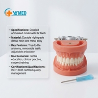 Modèle dentaire 32 pièces, palatine dure amovible, dents de typhodontes, modèle standard pour l'enseignement buccal, instrument en résine manuel CE/ISO