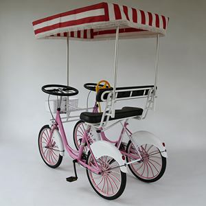 Quadricycles robustes à forte capacité de charge pour adultes, électriques, 4 places, pour les loisirs en parc d'attractions, les locations et les excursions - Product Image 1