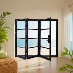 Minimalist Style Metal Cast Manual Forging Iron Steel Bi-Fold Door Glass Folding Patio Door