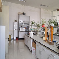 Stock suffisant de téréphtalate de diméthyle CAS 120-61-6, pureté élevée 99%, poudre cristalline blanche