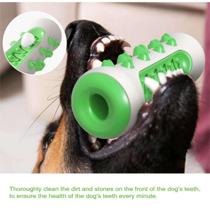 En çok satan 'köpek sesi' çiğnemek oyuncak diş fırçası diş kazıma diş dişliler gıda-köpekler için gevşek Pet malzemeleri - Product Image 6