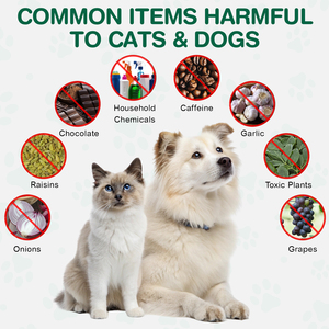 Worafy Gel de <span class=keywords><strong>Charbon</strong></span> <span class=keywords><strong>Actif</strong></span> 60ml – Complément Liquide pour Chiens et Chats – Confort Intestinal et Équilibre Digestif - Product Image 4