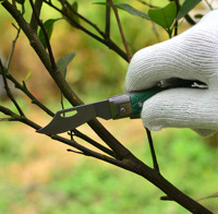 Outil de jardinage pliable multifonctionnel en acier inoxydable 120 mm, couteau à double tranchant pour bouturage, semis, greffage d'arbres fruitiers