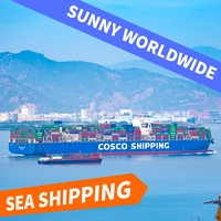 Service de logistique transitaire porte-à-porte DDP, agent d'expédition de Shenzhen vers Bahreïn, la Jordanie, les Émirats arabes unis, l'Arabie Saoudite