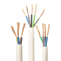 Rvv/h07vv-f Kabel Mehradrig 1,5mm 2,5mm 4mm 6mm Runde Elektrokabel