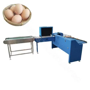 Professionelle Sortierung von Eiern rostfreier Stahl Sortier- und Einstufungsmaschine automatische Eiersortiermaschine mit niedrigem Preis