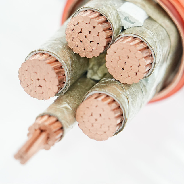 Premium Multi Core Copper Conductor Mineral Insulated Fire Resistant Fireproof Power Cable Factory Supply