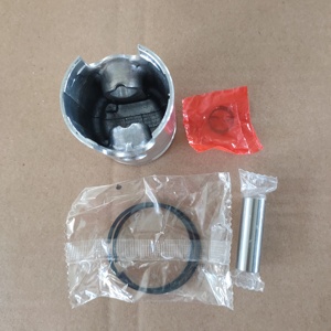 45mm <strong>Tamping</strong> <strong>Rammer</strong> Parts <strong>Wacker</strong> WM80 <strong>Rammer</strong> Piston Kit for Sale - Product Image 2