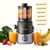 Extracteur de jus lent électrique 350W, presse-agrumes commercial, machine à smoothies, extracteur 2,5L, moteur silencieux, grande goulotte d'alimentation, commande par bouton