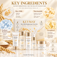 Kit de Voyage Soin Visage au Lait de Riz OEM ODM – Éclaircissant, Hydratant, Nourrissant – Marque Privée, Vente en Gros, Personnalisé