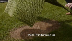 Césped Artificial Híbrido de Alta Resistencia MCG para Granjas, Jardines y Uso Comercial - Product Image 2
