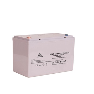 Pin Lithium Ion Pin Lithium Năng Lượng Mặt Trời Phần Mềm Lưu Trữ Pin Chu Kỳ Sâu 12V 100Ah LiFePO4 Có Thể Sạc Lại BMS - Product Image 6