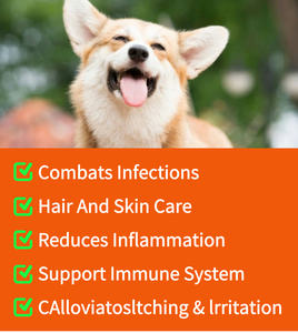 Suplemen hewan peliharaan organik dan vitamin pengobatan ragi alami tetes untuk anjing telinga anjing pengobatan infeksi Suplemen Herbal - Product Image 3