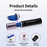 Linterna UV de Curado Rápido 365nm de Alta Intensidad para Resina Epoxi, Lámpara de Secado Industrial OEM ODM con Logotipo Personalizado