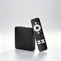   Boîtier TV Android 14 Dcolor certifié Google, Amlogic S905Y4, 2 Go de RAM, 32 Go de ROM, décodage 4K, WiFi 2.4G et 5G, récepteur multimédia