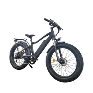 OEM China factory supplier cheap wholesale 500w 750w 100w powerful city fat tire mountain electric bike for adult