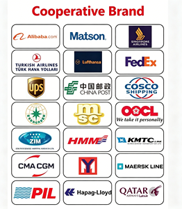 Transporte Marítimo DDP LCL de China/EE. UU., España/Italia/Brasil + Entrega Puerta a Puerta en Camión, <span class=keywords><strong>Almacén</strong></span> Independiente, Logística de Bajo Costo - Product Image 2