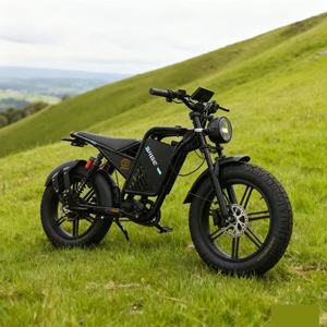 Bicicletta Elettrica da 20 Pollici con Motore Brushless, Pneumatici Larghi, Fuoristrada, Stile Retrò, Batteria al Litio, 1000W, per Ciclismo Montano e da Corsa, Capacità 150kg - Product Image 6