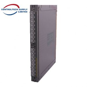 ชุดประกอบการเชื่อมต่อเอาต์พุตดิจิตอล ICS TRIPLEX T8471 - 8 ช่องสัญญาณคู่, 24V ความน่าเชื่อถือสูงสำหรับการควบคุมในอุตสาหกรรม - Product Image 4