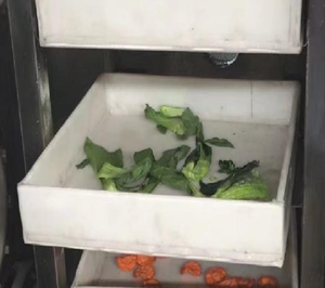 Four de séchage sous vide industriel pour la transformation des aliments avec PLC et commande moteur - Product Image 6