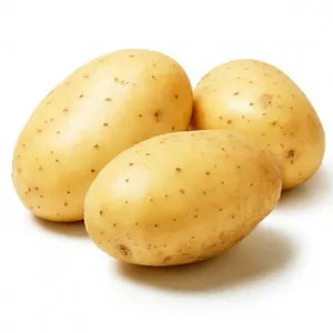Rouleau pour pommes de terre fraîches, vente en gros, prix le meilleur prix, organique