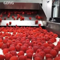 Exportprijs Chinese vruchten voor smoothies en desserts/Topkwaliteit Beste prijs Gehele diepvriesvruchten Groothandel Verse IQF Diepvriesframbozen
