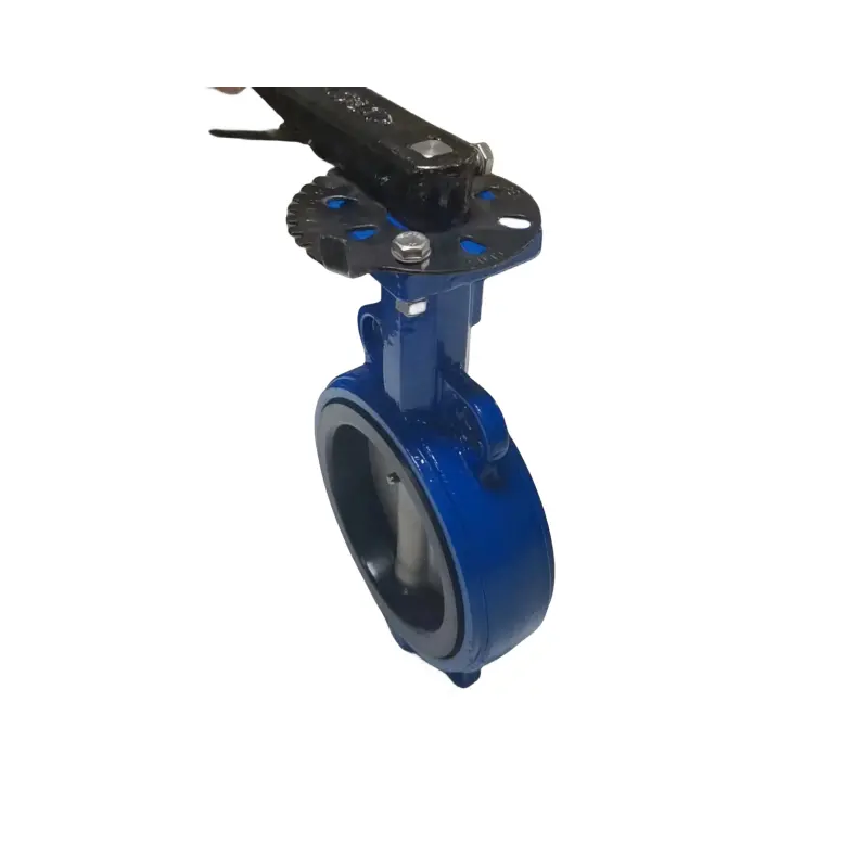 Handle operated PTFE lined butterfly valve DN100