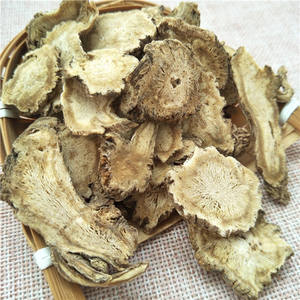 Dang Gui cinese a base di erbe Dong <span class=keywords><strong>Quai</strong></span> erba tè essiccato radice di Angelica per la vendita - Product Image 2