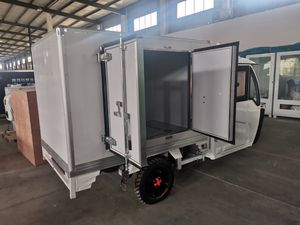 Tricycle réfrigéré à essence/électrique à alimentation CC, boîte réfrigérée pour poulet/glace - Product Image 2