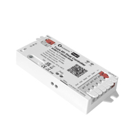 Contrôleur LED Pixel SPI WiFi Tuya Gledopto GL-SPI-206W 2026 DC5-24V 15A 2CH Numérique RGB RGBCCT pour Bande Lumineuse Adressable et Variateur de Luminosité