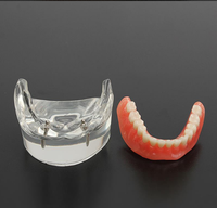 Modèle dentaire de haute qualité et au meilleur prix, vente directe d'usine, pour Colgate CE/ISO