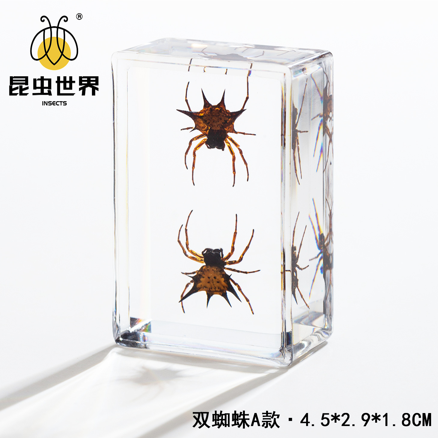 Double spider style a-452918cm