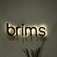 Enseigne Murale Personnalisée sur Mesure pour Entreprise, Lettres Métalliques Lumineuses à LED, Enseigne Commerciale, Logo Extérieur