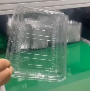 Envase Transparente Tipo Blister de PET <span class=keywords><strong>para</strong></span> Alimentos, Apto <span class=keywords><strong>para</strong></span> Frutas, Verduras y <span class=keywords><strong>Lechuga</strong></span>, con Impresión en Relieve - Product Image 4