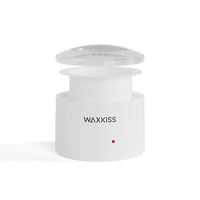Calentador de Cera Metálico con Enchufe para Reino Unido y Estados Unidos, Marca Privada, 400 ml, 20 W, para Salón de Belleza, Rostro y Cuerpo, Personalizable