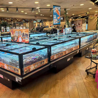 Congélateur coffre à grande capacité avec vitrine super transparente et affichage profond, type îlot