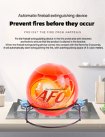 Kit de sécurité incendie domestique : 2* Boules anti-incendie AFO 1,3 kg + 1* Boule anti-incendie pour voiture 0,5 kg + Supports, Ensemble de protection familiale certifié CE