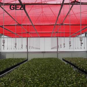 Red Agriculture 50 <strong>Mesh</strong> Uv Treated Heavy-duty Anti Insect <strong>Net</strong> <strong>Hdpe</strong> 40*25 for Agricultural Greenhouse - Product Image 3