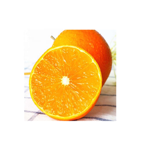 valencia orange navel orange for sale orange price 100% natural