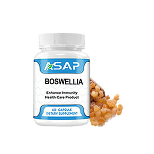 Extracto de hierbas OEM de Boswellia Serrata, suplemento de soporte para articulaciones, cápsulas de extracto de hierbas de Boswellia Serrata - Product Image 1