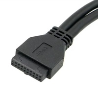 Câble d'extension pour ordinateur, double USB 3.0 femelle vers 20 broches, en cuivre pur tressé
