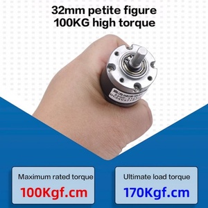 Motorreductor Planetario de Imán Permanente de 32 mm 31ZY, Alto Torque 100KG, Reducción DC Eléctrica 12v/24v - Product Image 3