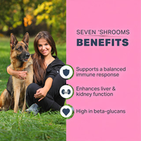 Suplemento Digestivo para Mascotas de Marca Privada Personalizada OEM/ODM, Sin Residuos, Refuerza el Sistema Inmunológico, Golosina Masticable Suave para Perros
