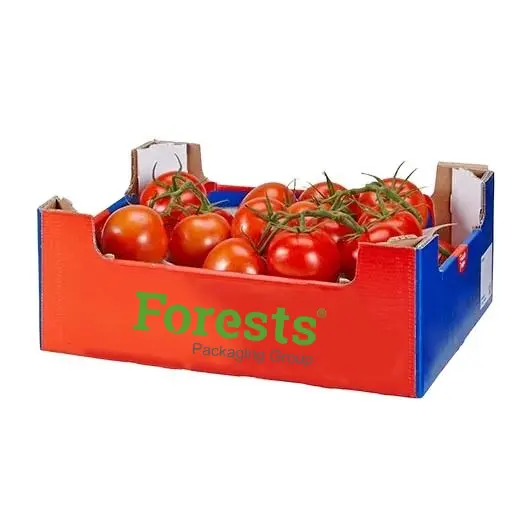 Logotipo personalizado impreso decorativo vacío bandeja de embalaje verduras tomate cherry embalaje caja de frutas para frutas caja de papel